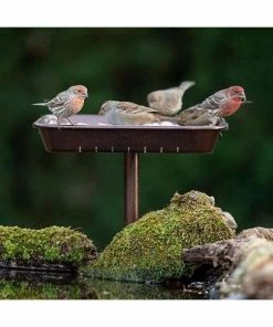 Stokes Select Hanging Feeders 3in1 Platform Bird Feeder