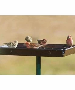 Stokes Select Hanging Feeders 3in1 Platform Bird Feeder