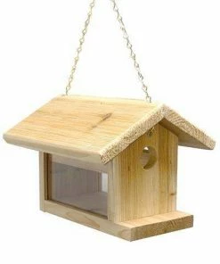 C&S Products Hanging Feeders Bluebird Feeder By C&S