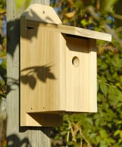 Heartwood Joy Box Chickadee House