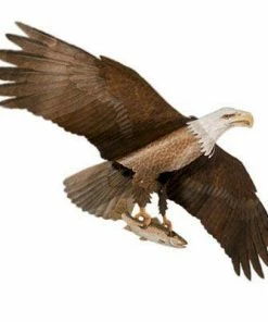 Kites Jackite American Bald Eagle Kite, 60" Wingspan