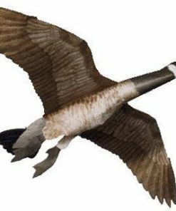 Jackite Giant Canada Goose Kite With Rod, 60" Wingspan