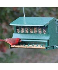 Heritage Farms Hanging Feeders Absolute Bird Feeder With Pole And Hanger