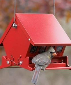 Heritage Farms Absolute II Mini Bird Feeder Hanging Feeders