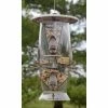 More Birds Abundance Bird Feeder Hanging Feeders 2 More Birds Abundance Bird Feeder Hanging Feeders