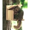 Woodlink Audubon Cedar Squirrel Munch Box Squirrels 2 Woodlink Audubon Cedar Squirrel Munch Box Squirrels