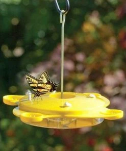 Woodlink Butterflies Audubon Classic Butterfly Feeder
