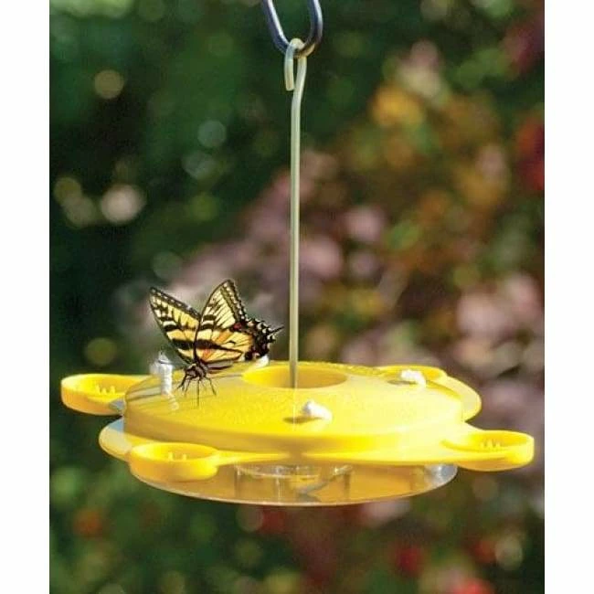 Woodlink Butterflies Audubon Classic Butterfly Feeder 3 Woodlink Butterflies Audubon Classic Butterfly Feeder
