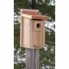 Woodlink Audubon Coppertop Bluebird House