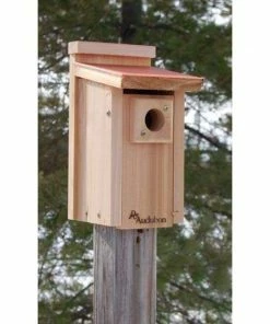Woodlink Audubon Coppertop Bluebird House