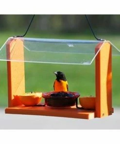 Woodlink Hanging Feeders Audubon Recycled Plastic Oriole And Bluebird Feeder
