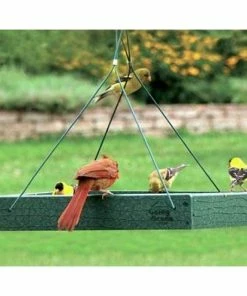 Woodlink Hanging Feeders Audubon Recycled Plastic Platform Bird Feeder