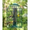 Woodlink Cage Feeders Audubon Squirrel-Resistant Caged Tube Bird Feeder 2 Woodlink Cage Feeders Audubon Squirrel-Resistant Caged Tube Bird Feeder
