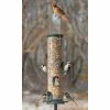 Aspects Hanging Feeders Big Tube Spruce Wild Bird Feeder