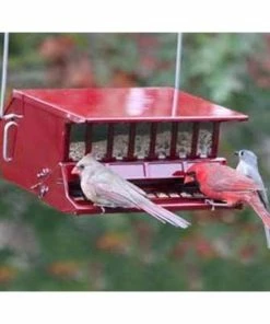 Heritage Farms Hanging Feeders Bird's Choice Squirrel Proof Red Bird Feeder