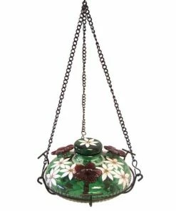 Parasol Bloom Botanica Hummingbird Feeder With Perch, Green