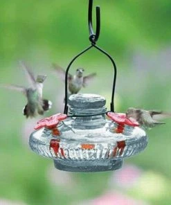 Parasol Bloom Hummingbird Feeder, Clear