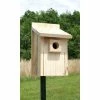 Post / Pole Mounted Houses Bluebird House From Stokes Select 1 Post / Pole Mounted Houses Bluebird House From Stokes Select