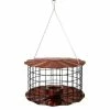 Erva Tool & Die Caged Copper Colored Bluebird Feeder 2 Erva Tool & Die Caged Copper Colored Bluebird Feeder