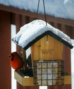Nature's Way Cedar Hopper Bird Feeder With Suet Cages, Small