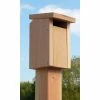 Songbird Essentials Cedar Sparrow-Resistant Bluebird House