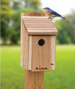 Woodlink Post / Pole Mounted Houses Classic Bluebird House DIY Craft Kit