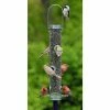 Droll Yankees A-6 Bird Feeder