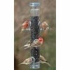 Droll Yankees A-6 Ring Pull Bird Feeder 1 Droll Yankees A-6 Ring Pull Bird Feeder