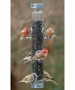 Droll Yankees A-6 Ring Pull Bird Feeder