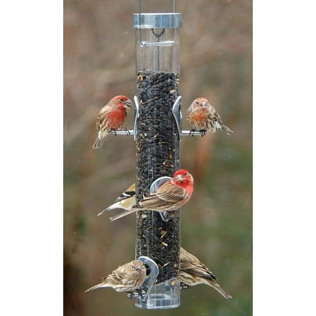 Droll Yankees A-6 Ring Pull Bird Feeder 3 Droll Yankees A-6 Ring Pull Bird Feeder