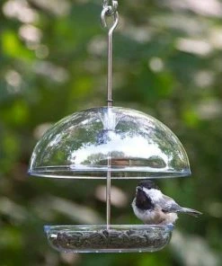 Droll Yankees The Cutest Chickadee Feeder