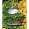 Droll Yankees Dorothy's Cardinal Feeder
