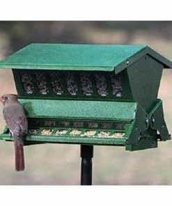 Heritage Farms Double Sided Absolute II Bird Feeder With Pole & Hanger Post / Pole Mounted Feeders