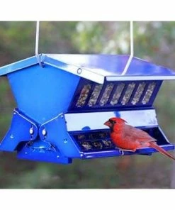 Heritage Farms Double Sided Absolute II Electric Blue Bird Feeder