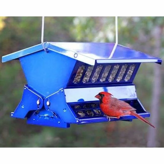 Heritage Farms Double Sided Absolute II Electric Blue Bird Feeder 3 Heritage Farms Double Sided Absolute II Electric Blue Bird Feeder