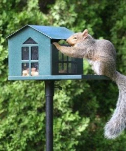 Erva Tool & Die Food Pantry Green Squirrel Feeder