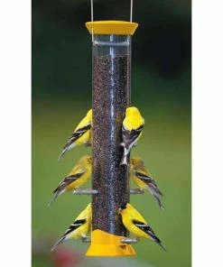 Droll Yankees New Generation 15" Finch Flocker Bird Feeder, Yellow