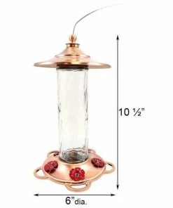 More Birds Glory Hummingbird Feeder Hummingbird Feeders