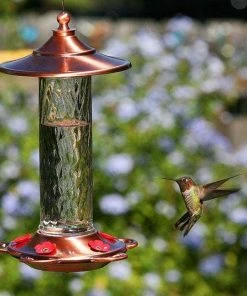 More Birds Glory Hummingbird Feeder Hummingbird Feeders 7 More Birds Glory Hummingbird Feeder Hummingbird Feeders