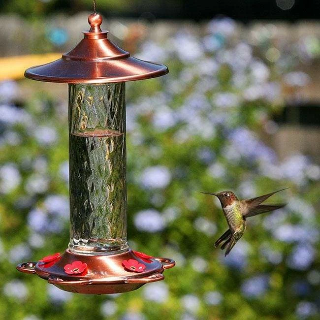 More Birds Glory Hummingbird Feeder Hummingbird Feeders 5 More Birds Glory Hummingbird Feeder Hummingbird Feeders