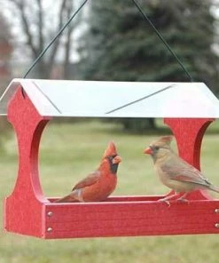 Woodlink Hanging Feeders Going Green Fly Through Bird Feeder, Red