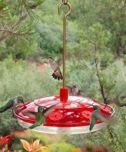 Droll Yankees Happy Eight-2 Hummingbird Feeder Hummingbird Feeders