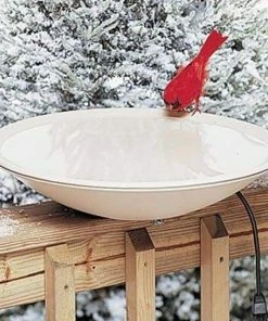 Allied Precision Heated Bird Bath With Deck Mount Deck Mounted Bird Baths