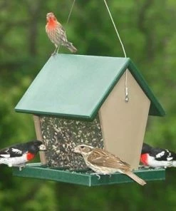 Songbird Essentials Hopper Green And Brown Bird Feeder, Medium Hanging Feeders