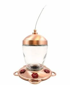 More Birds Jubilee Hummingbird Feeder