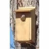 Woodlink Kestrel And Screech Owl House 2 Woodlink Kestrel And Screech Owl House