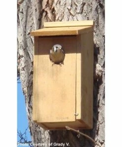 Woodlink Kestrel And Screech Owl House