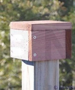 Looker Products Post Cap Bird House Accessories