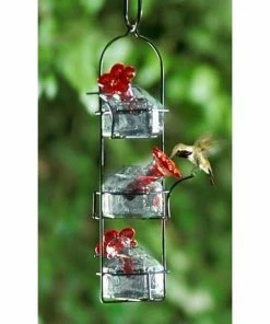 Parasol Hummingbird Feeders Lunch Pail Clear Hummingbird Feeder