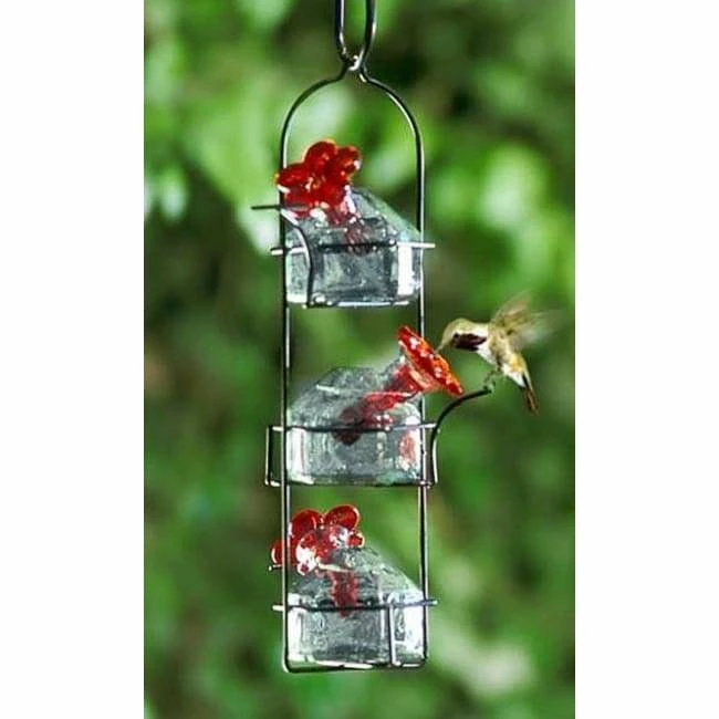 Parasol Hummingbird Feeders Lunch Pail Clear Hummingbird Feeder 3 Parasol Hummingbird Feeders Lunch Pail Clear Hummingbird Feeder